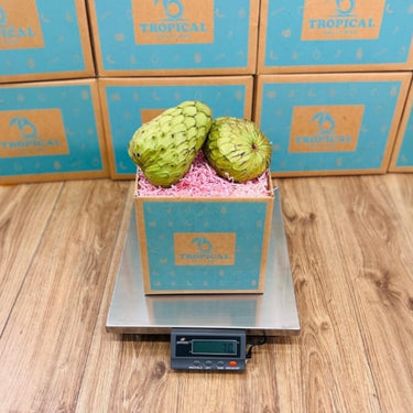 Cherimoya Fruit (Custard Apple) Box Specialty Box Tropical Fruit Box